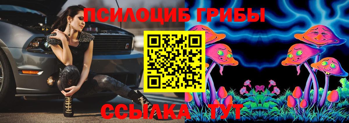 что такое наркотик  Галлюциногенные грибы Cubensis  Вход с VPN  Миллерово 